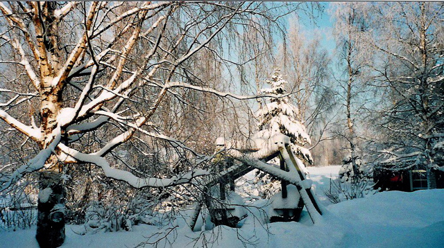 SUNELL_garten0206