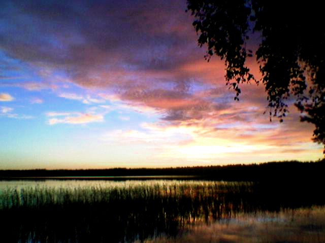 finn2005_sonnunt02